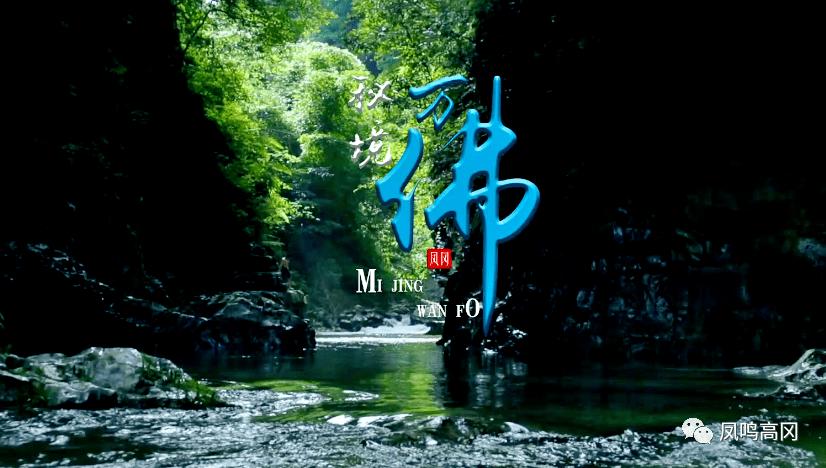 逃离潮湿的房屋